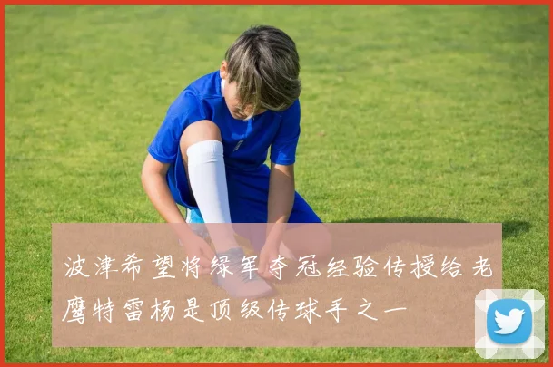 波津希望将绿军夺冠经验传授给老鹰特雷杨是顶级传球手之一